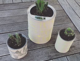 DIY fête des pères : jardinet pour papounet