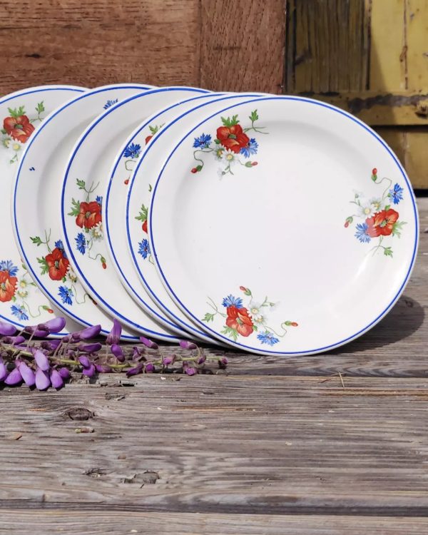 Set de 6 assiettes à dessert Salins