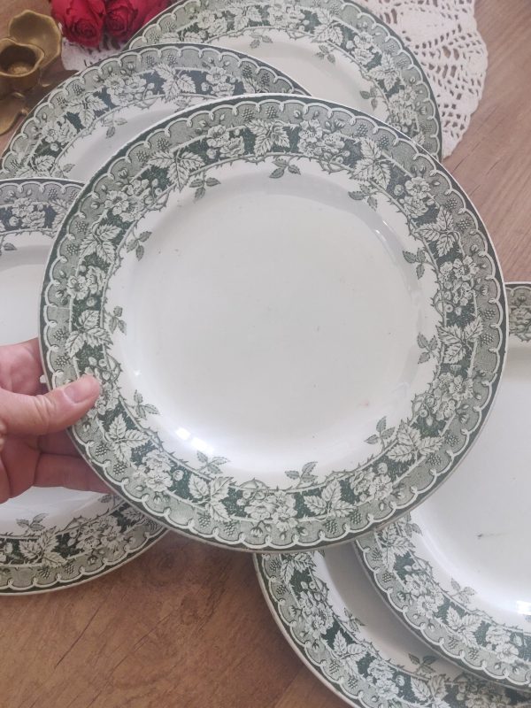 Set de 6 assiettes plates terre de fer vertes – Image 4