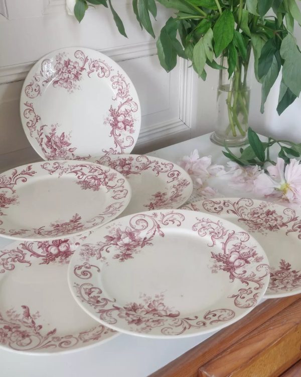 Série de 6 assiettes plates terre de fer Moscou , roses
