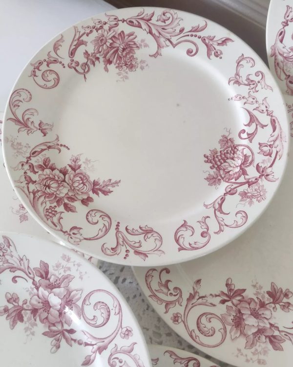 Série de 6 assiettes plates terre de fer Moscou , roses – Image 2