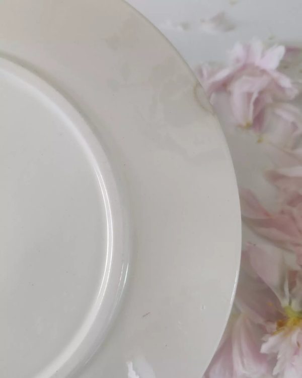 Série de 6 assiettes plates terre de fer Moscou , roses – Image 3