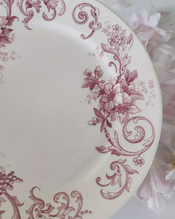 Série de 6 assiettes plates terre de fer Moscou , roses – Image 4