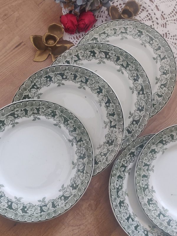 Set de 6 assiettes plates terre de fer vertes