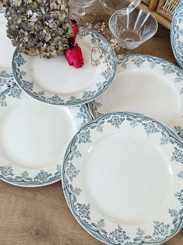 Set de 6 assiettes plates Terre de fer bleues