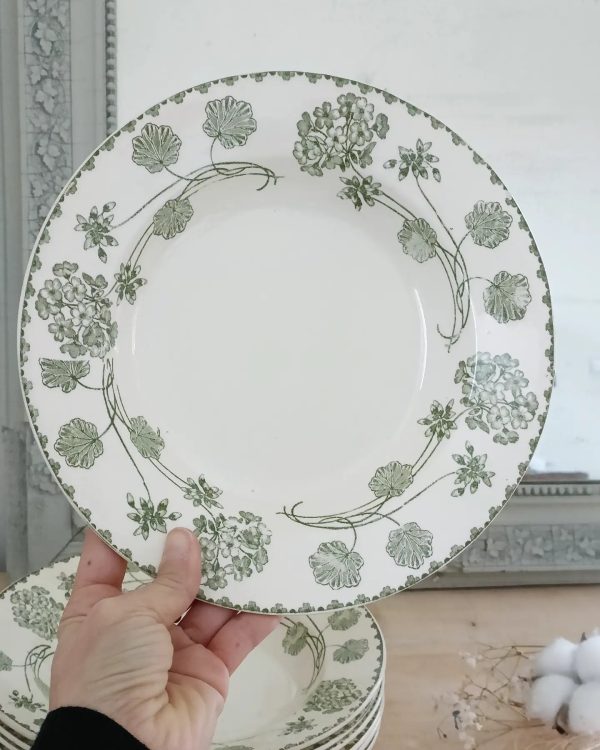 Set de 6 assiettes creuses terre de fer "Géranium"