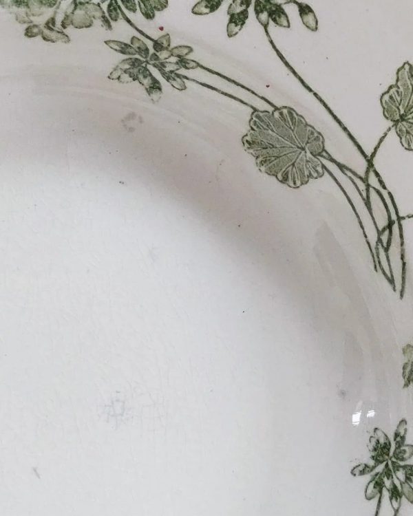 Set de 6 assiettes creuses terre de fer "Géranium" – Image 4