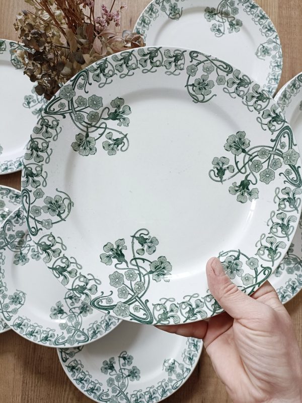 Ensemble de 6 grandes assiettes plates "Capucines"