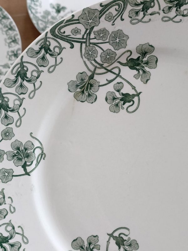 Ensemble de 6 grandes assiettes plates "Capucines" – Image 2