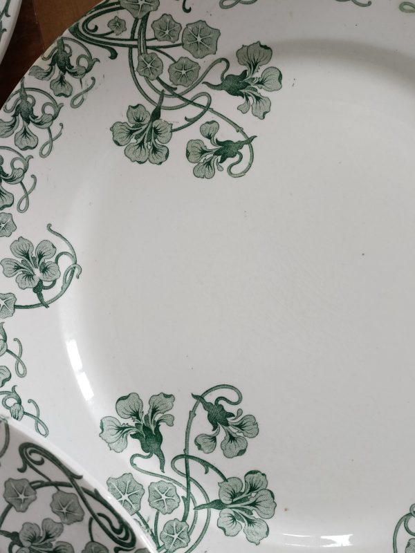 Ensemble de 6 grandes assiettes plates "Capucines" – Image 4