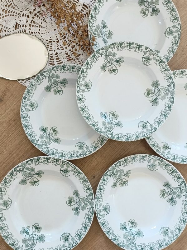 Ensemble de 6 assiettes creuses "Capucines"