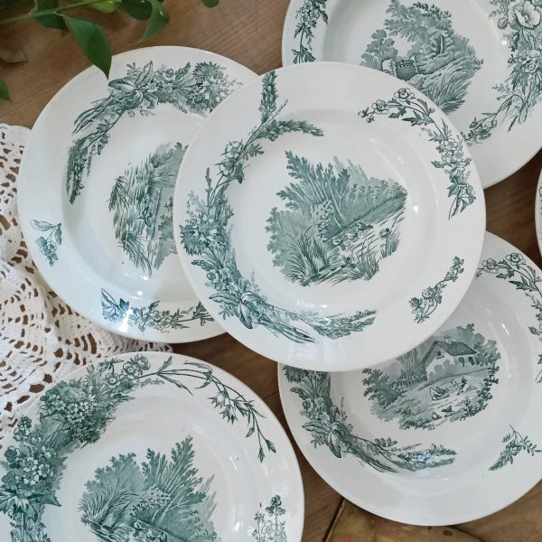 Ensemble de 6 assiettes creuses Terre de fer "Champêtre"