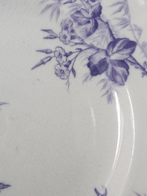 Set de 5 + 1 offerte assiettes à dessert Terre de fer  bleu/violet – Image 3