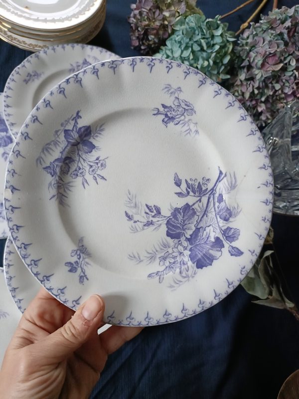 Set de 5 + 1 offerte assiettes à dessert Terre de fer  bleu/violet – Image 5