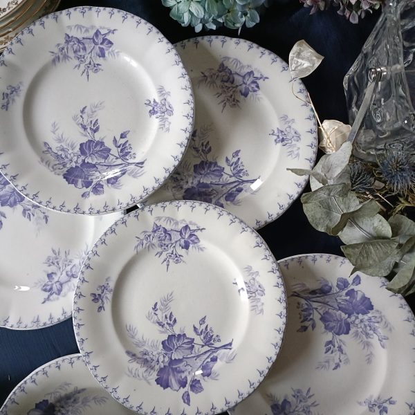 Set de 5 + 1 offerte assiettes à dessert Terre de fer  bleu/violet