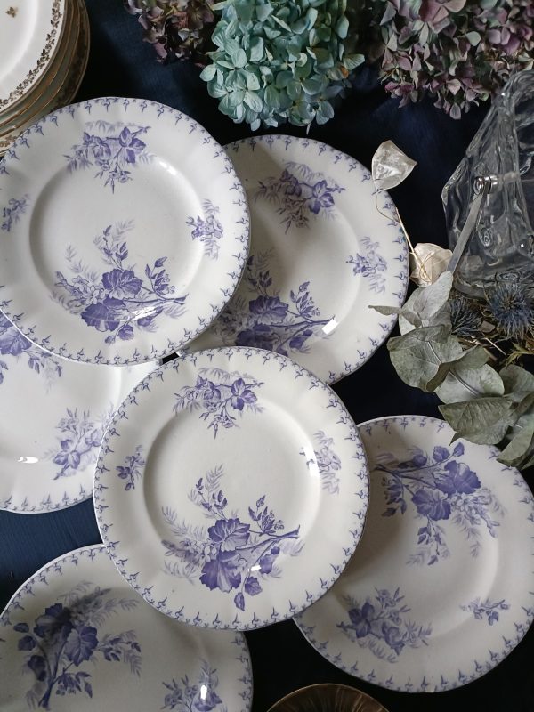 Set de 5 + 1 offerte assiettes à dessert Terre de fer  bleu/violet
