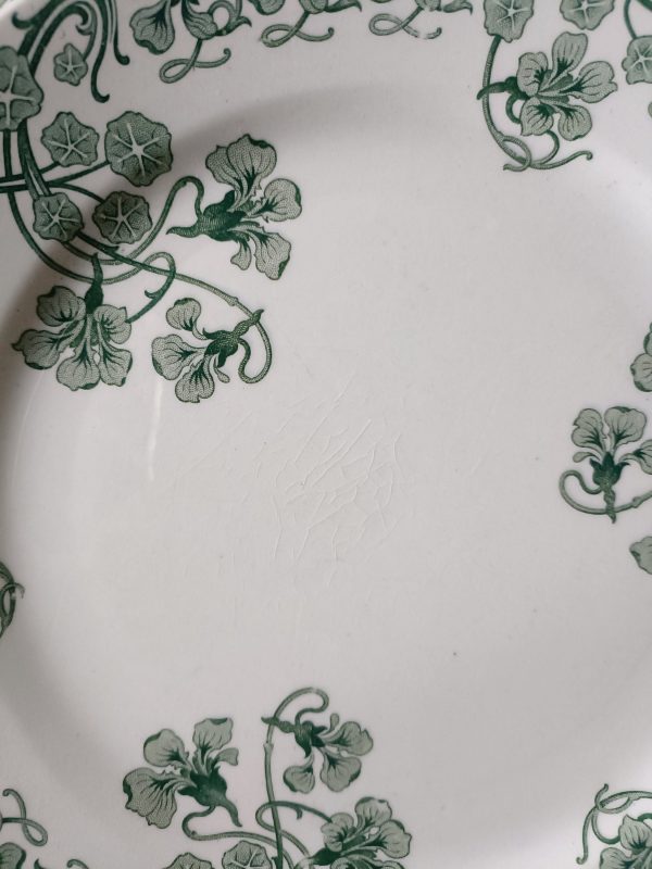 Ensemble de 6 assiettes à dessert "Capucines" vertes BFK – Image 3