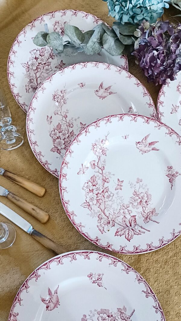Set de 6 assiettes plates "Aubépine" terre de fer