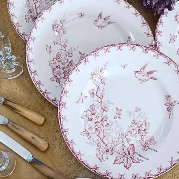 Set de 6 assiettes plates "Aubépine" terre de fer