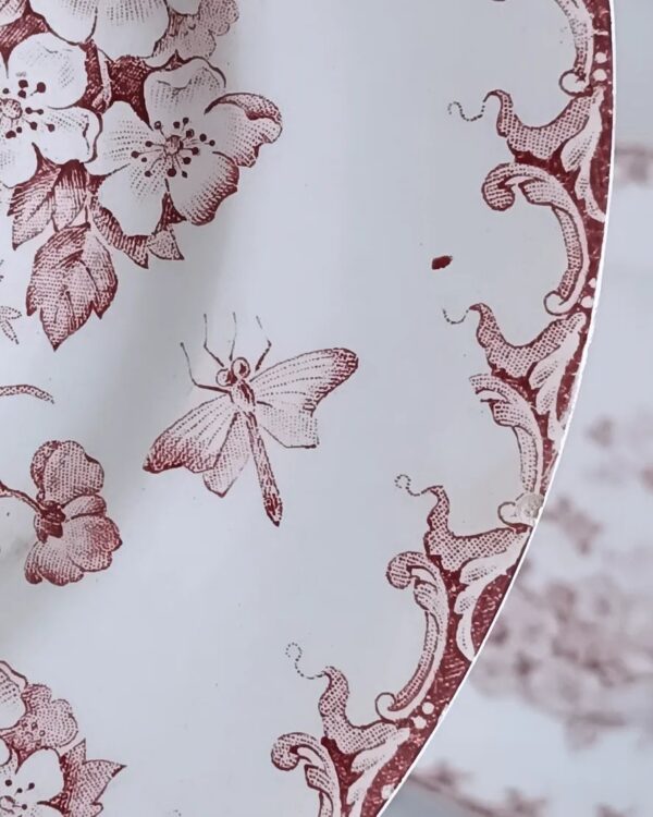 Set de 6 assiettes plates "Aubépine" terre de fer – Image 5