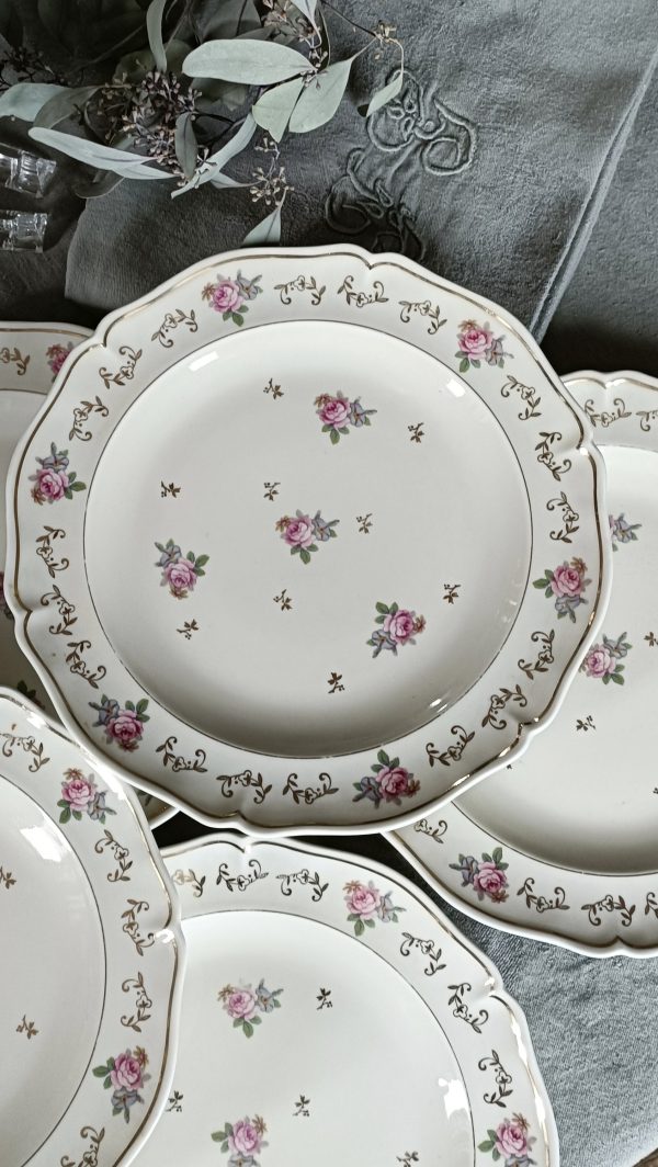 Set de 6 sublimes assiettes plates porcelaine Royale de Limoges – Image 3