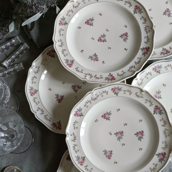 Set de 6 sublimes assiettes plates porcelaine Royale de Limoges