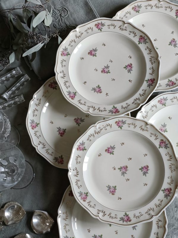 Set de 6 sublimes assiettes plates porcelaine Royale de Limoges