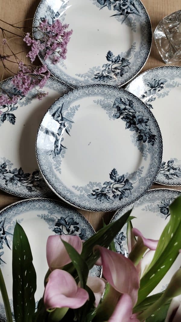 Lot de 6 assiettes plates Terre de fer bleues