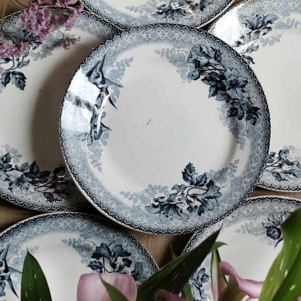 Lot de 6 assiettes plates Terre de fer bleues