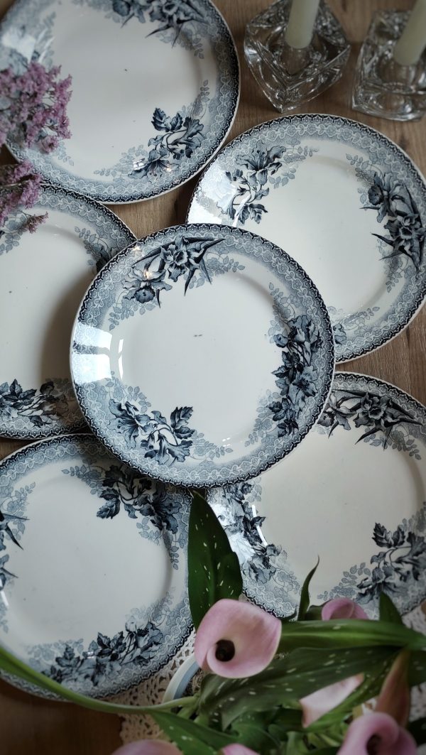 Lot de 6 assiettes plates Terre de fer bleues – Image 5