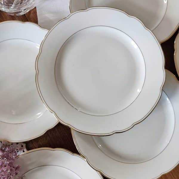 Série de 6 assiettes plates en porcelaine