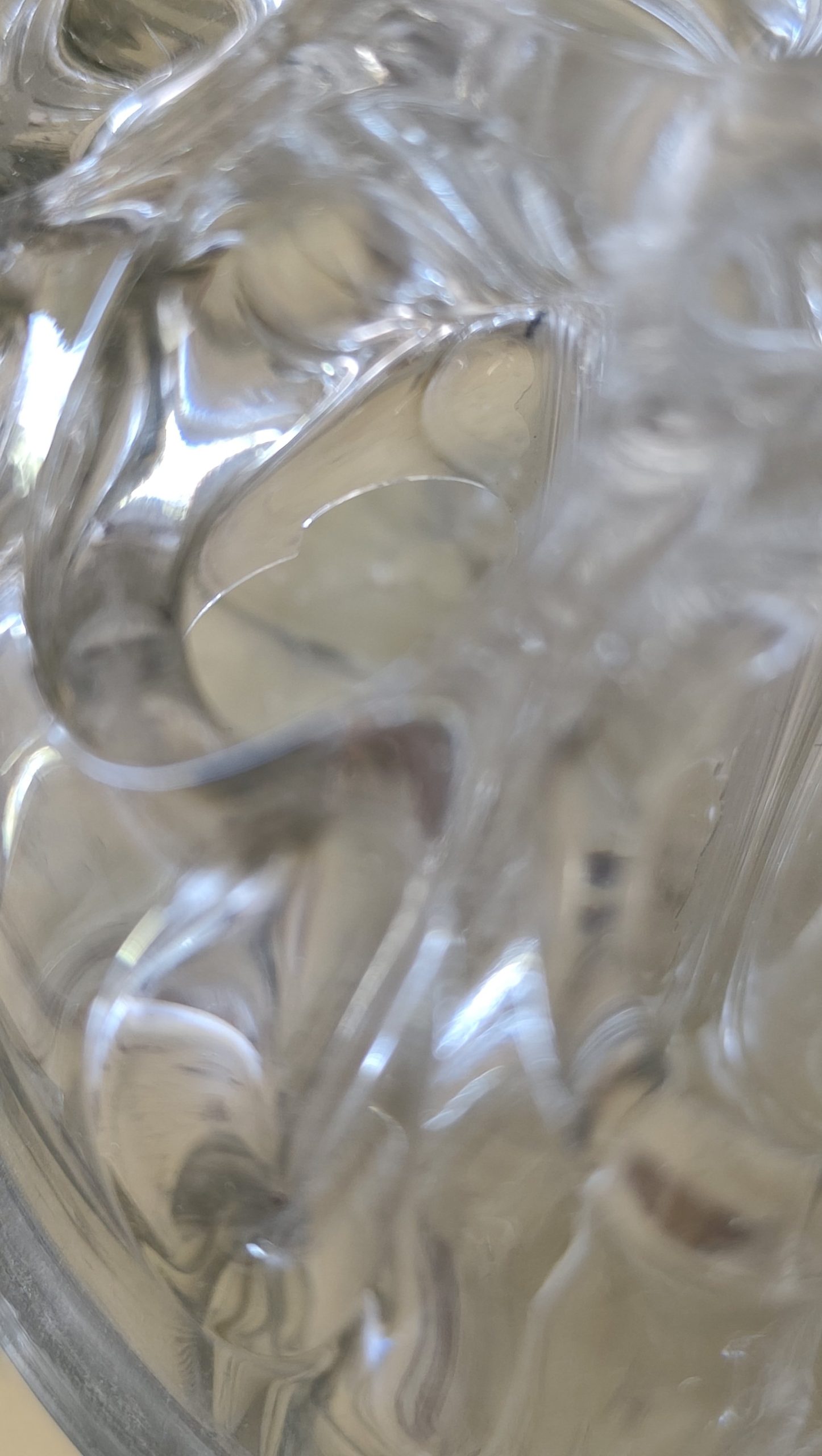 Réservé - Très grand pique-fleurs en verre – Image 4
