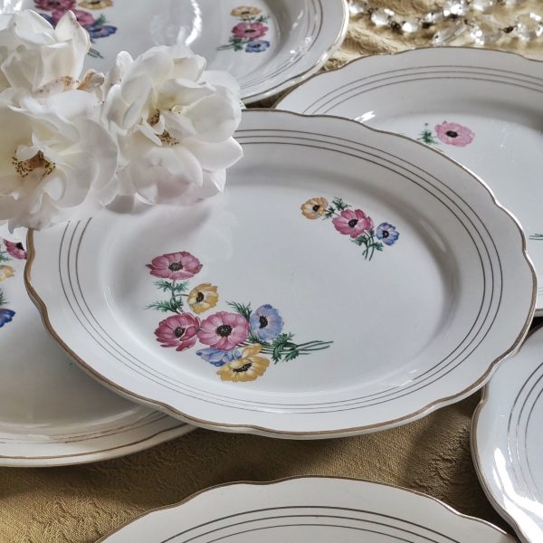 Ensemble de 6 assiettes plates Digoin Sarreguemines printanières